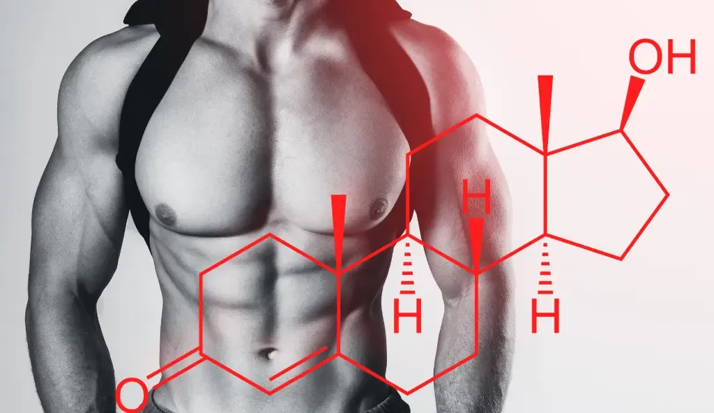 Scopri i migliori integratori muscolari per aumentare il testosterone e ottenere risultati eccezionali nel tuo allenamento!