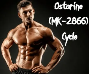 Ostarina SARM